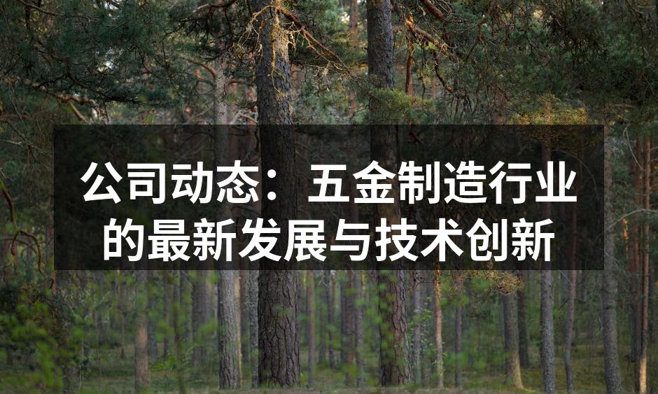 公司动态：五金制造行业的最新发展与技术创新